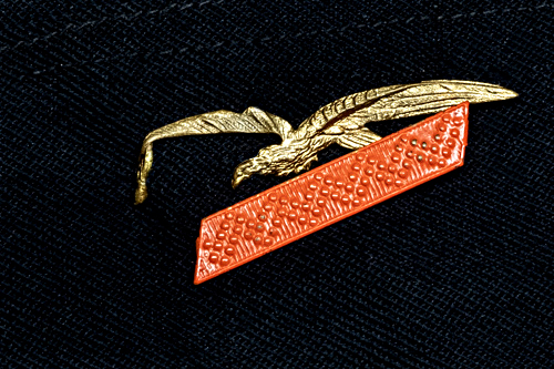 Aigle